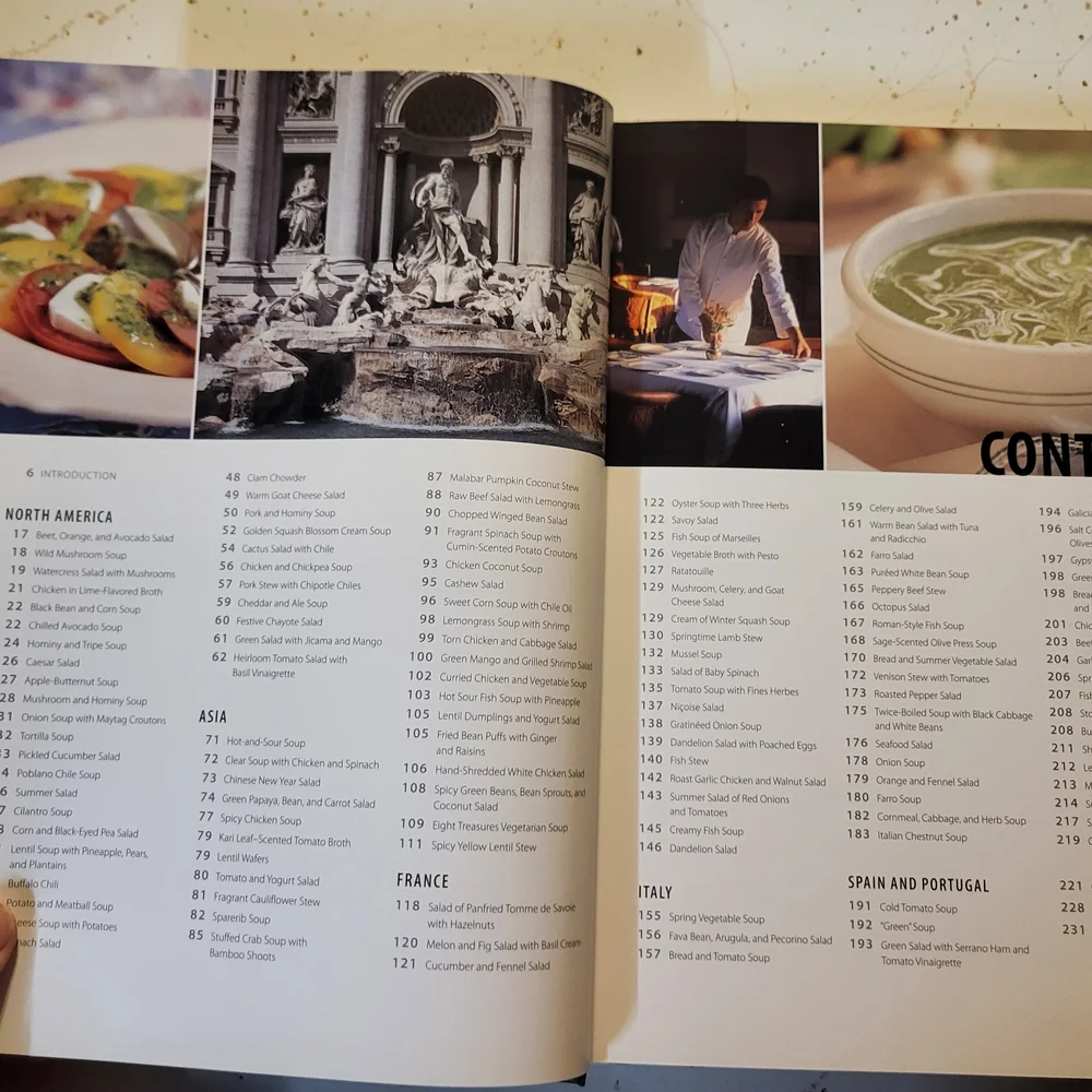Williams Sonoma Soups & Salads Cookbook with Cream and Brown Cover